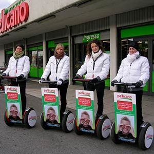 Pellicano_mod